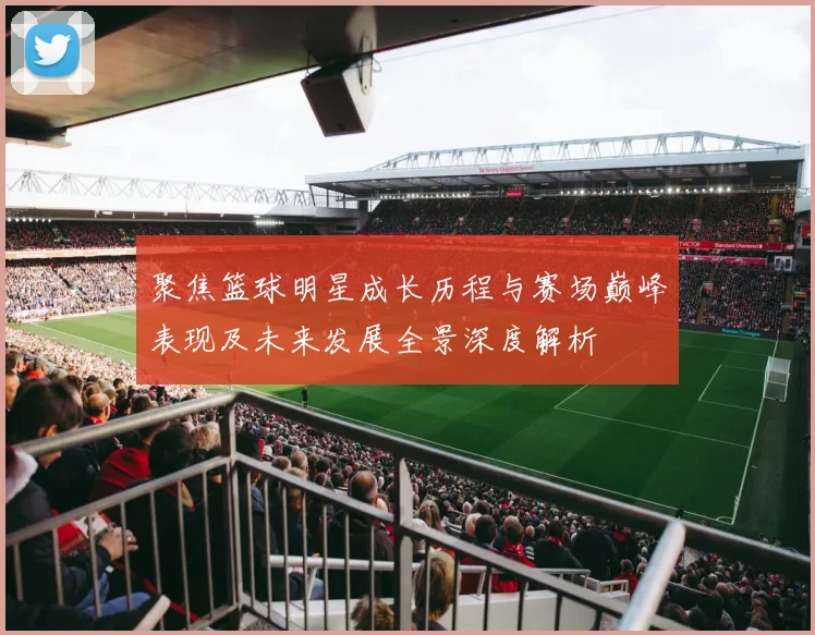 聚焦篮球明星成长历程与赛场巅峰表现及未来发展全景深度解析