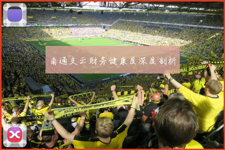 南通支云财务健康度深度剖析