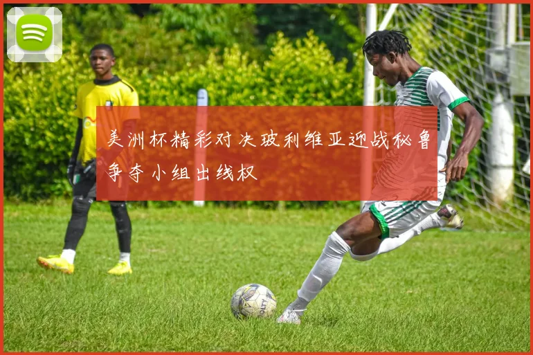 美洲杯精彩对决玻利维亚迎战秘鲁争夺小组出线权