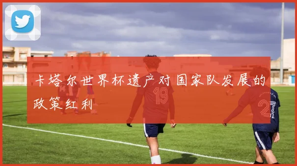 卡塔尔世界杯遗产对国家队发展的政策红利